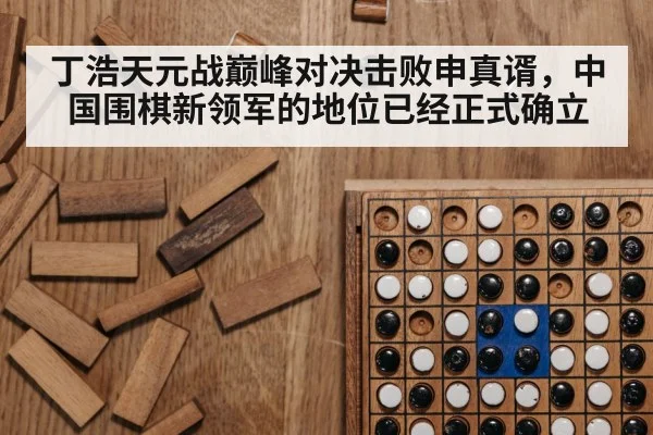 丁浩天元战巅峰对决击败申真谞，中国围棋新领军的地位已经正式确立