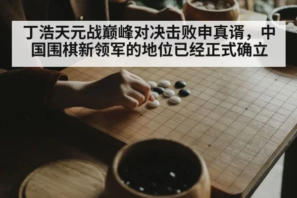 Chinese Go player