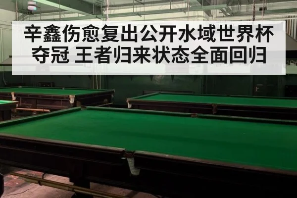 辛鑫伤愈复出公开水域世界杯夺冠 王者归来状态全面回归
